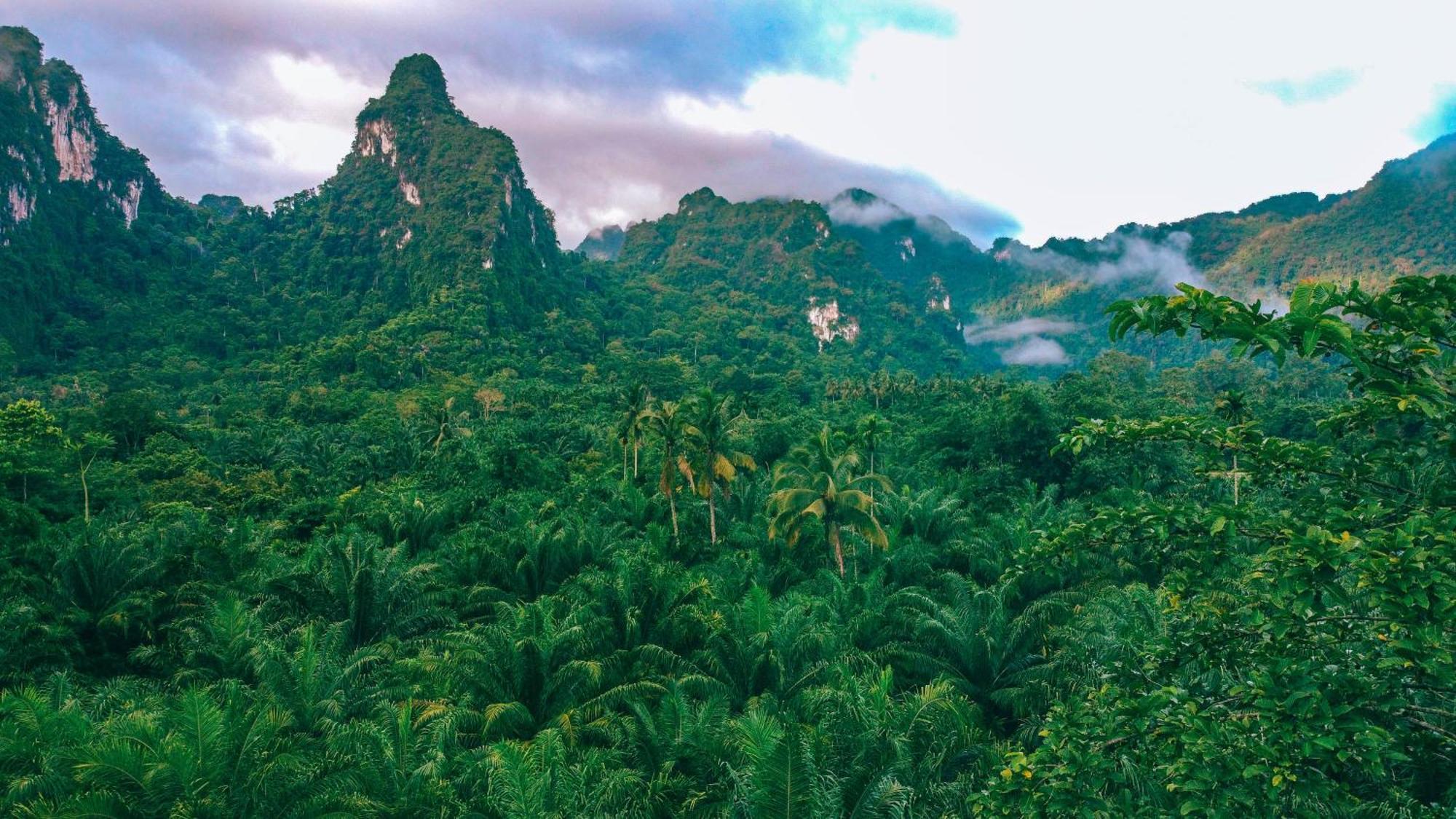 Anurak Community Lodge - Sha Plus Khao Sok National Park Экстерьер фото