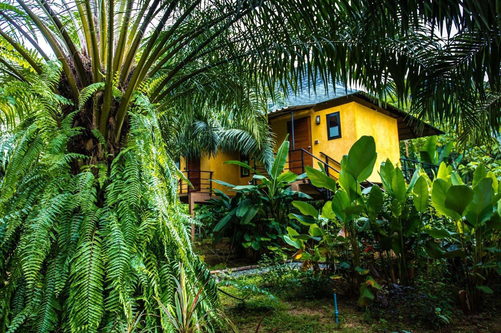 Anurak Community Lodge - Sha Plus Khao Sok National Park Экстерьер фото