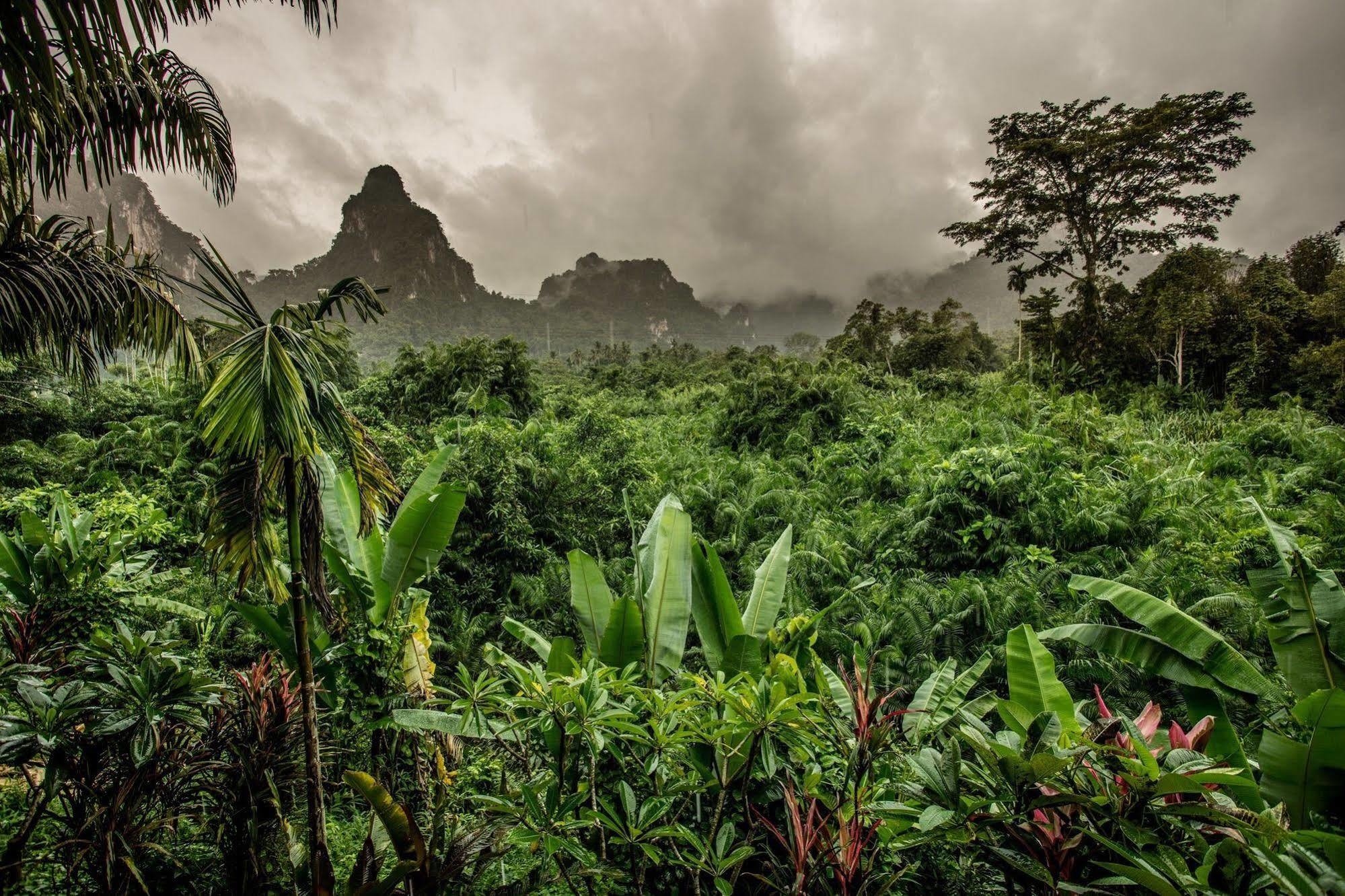 Anurak Community Lodge - Sha Plus Khao Sok National Park Экстерьер фото