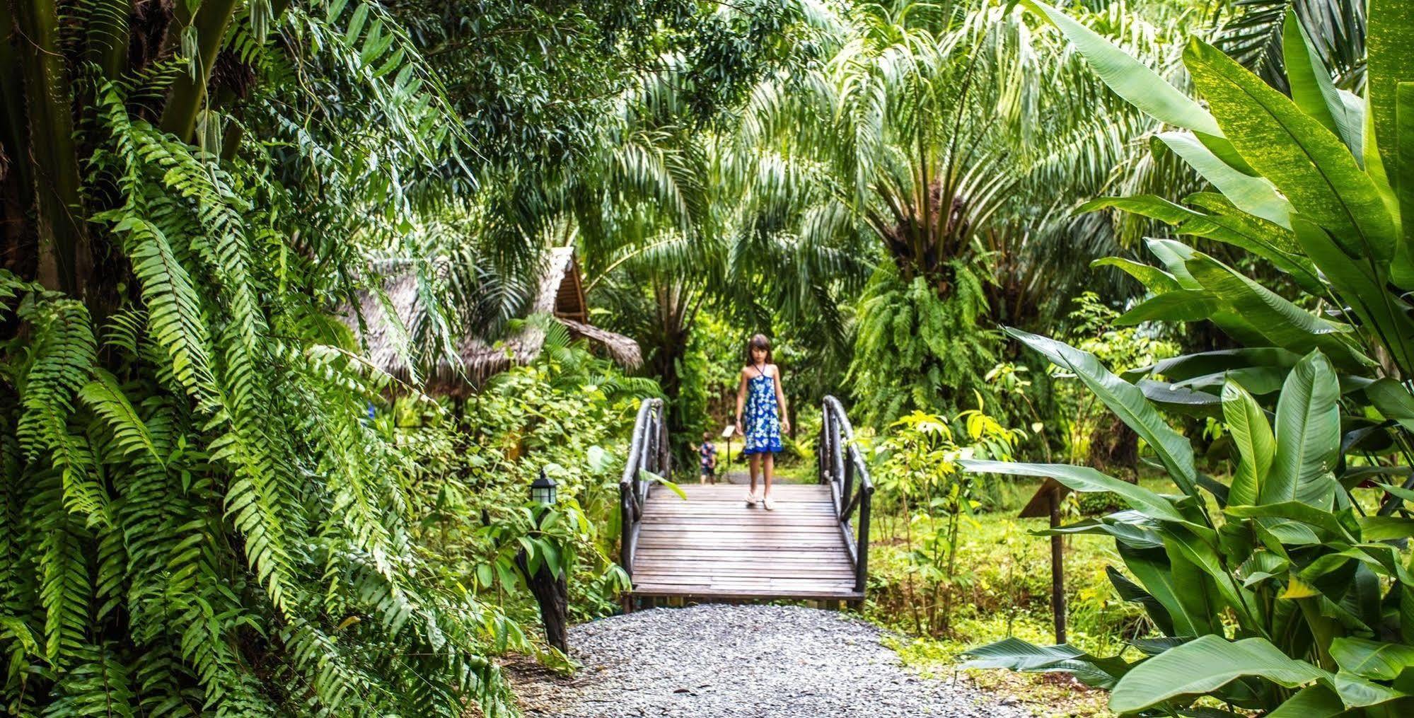 Anurak Community Lodge - Sha Plus Khao Sok National Park Экстерьер фото