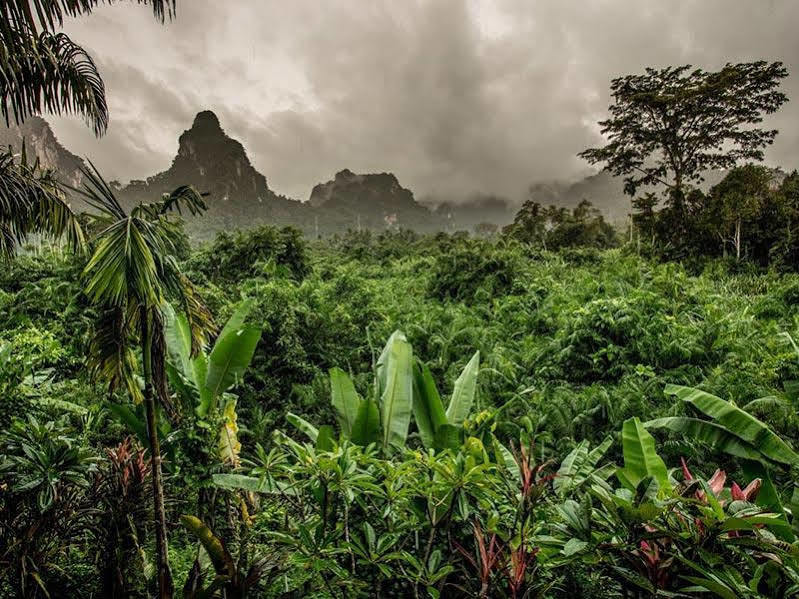 Anurak Community Lodge - Sha Plus Khao Sok National Park Экстерьер фото