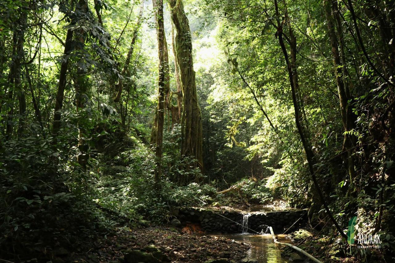 Anurak Community Lodge - Sha Plus Khao Sok National Park Экстерьер фото